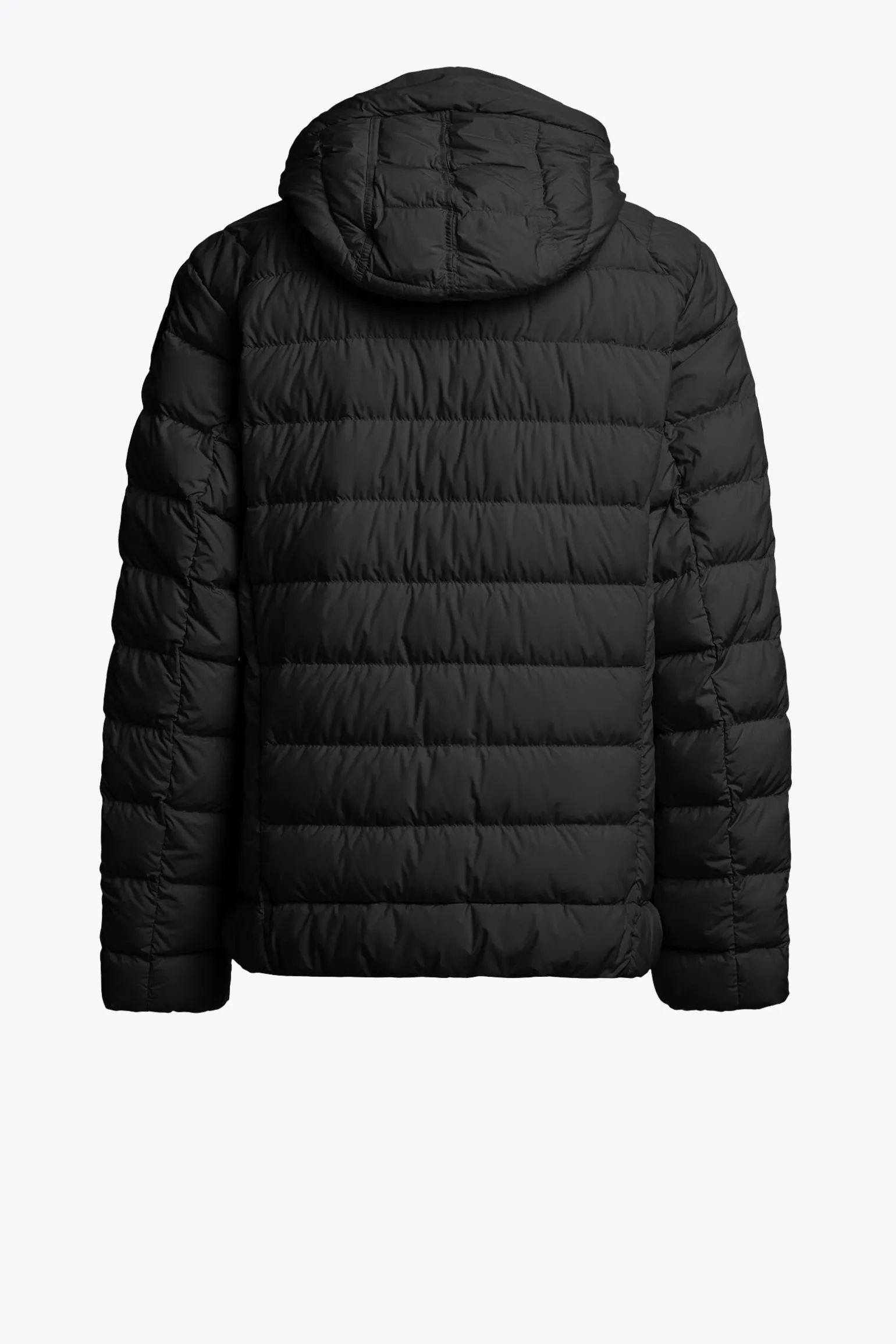 LAST MINUTE - VESTE À CAPUCHE